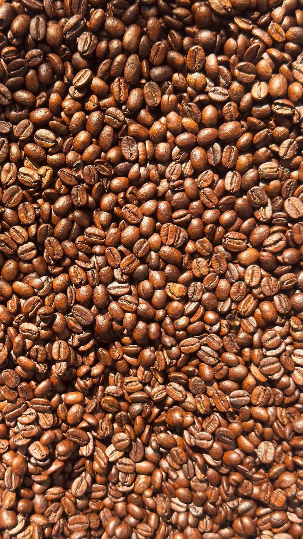 DECAF (zero cafeína)