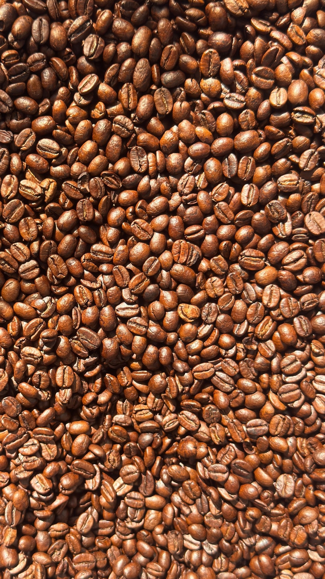 DECAF (zero cafeína)