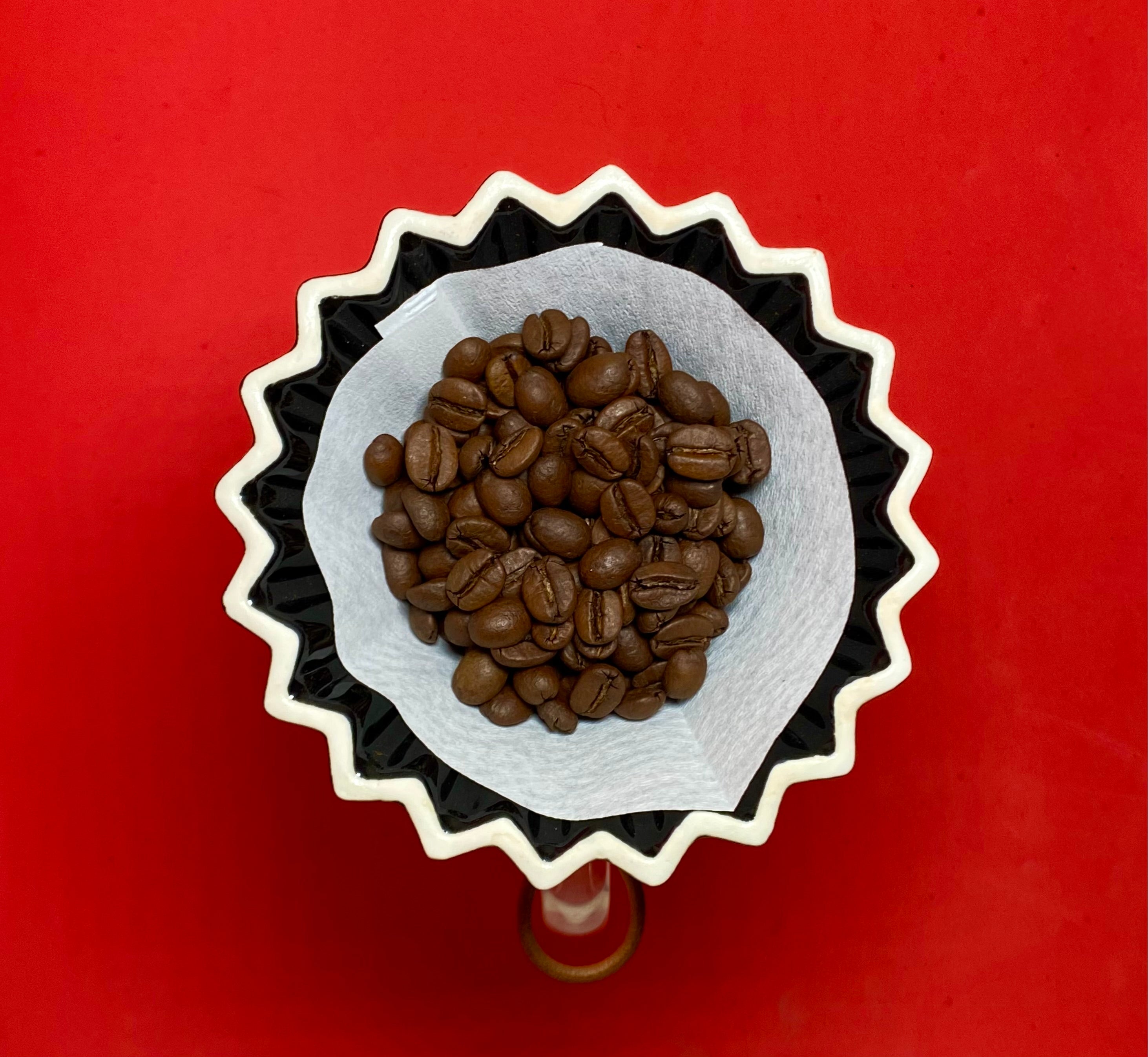 Café de Especialidad Pluma Hidalgo Tostado