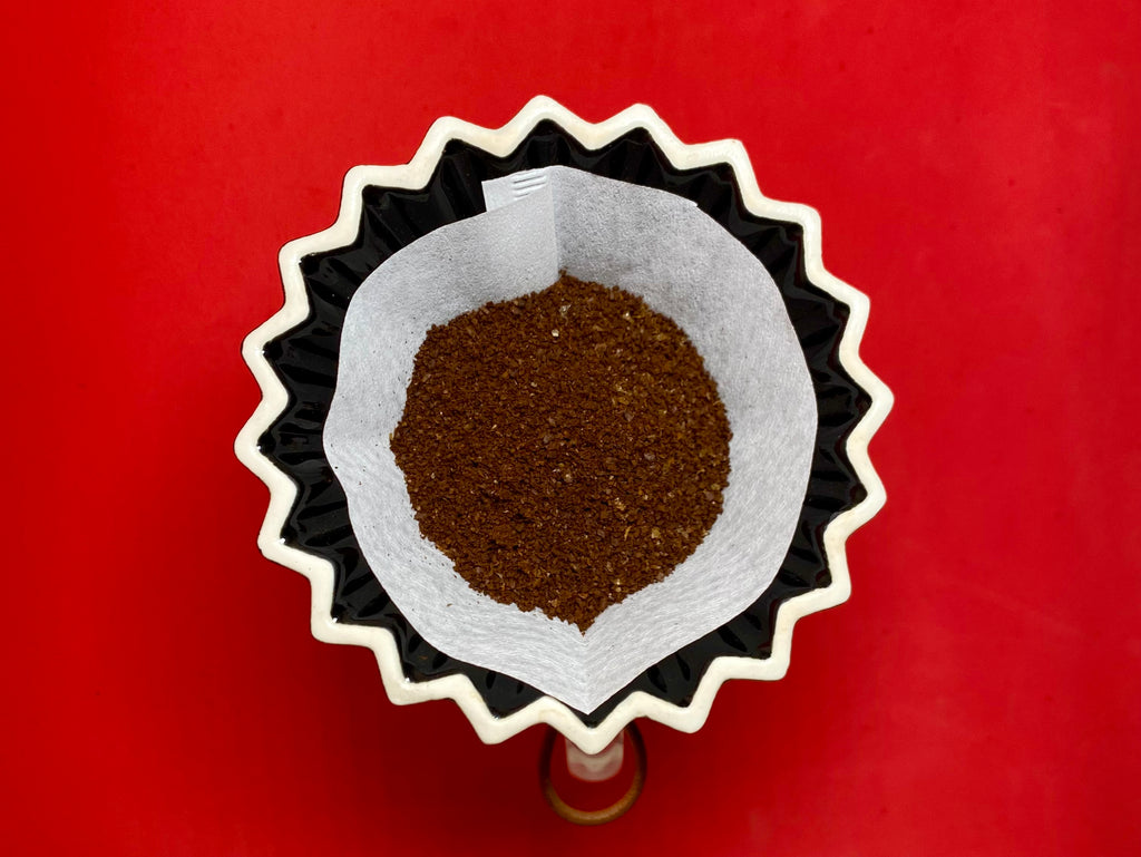 Café de Especialidad Pluma Hidalgo Tostado