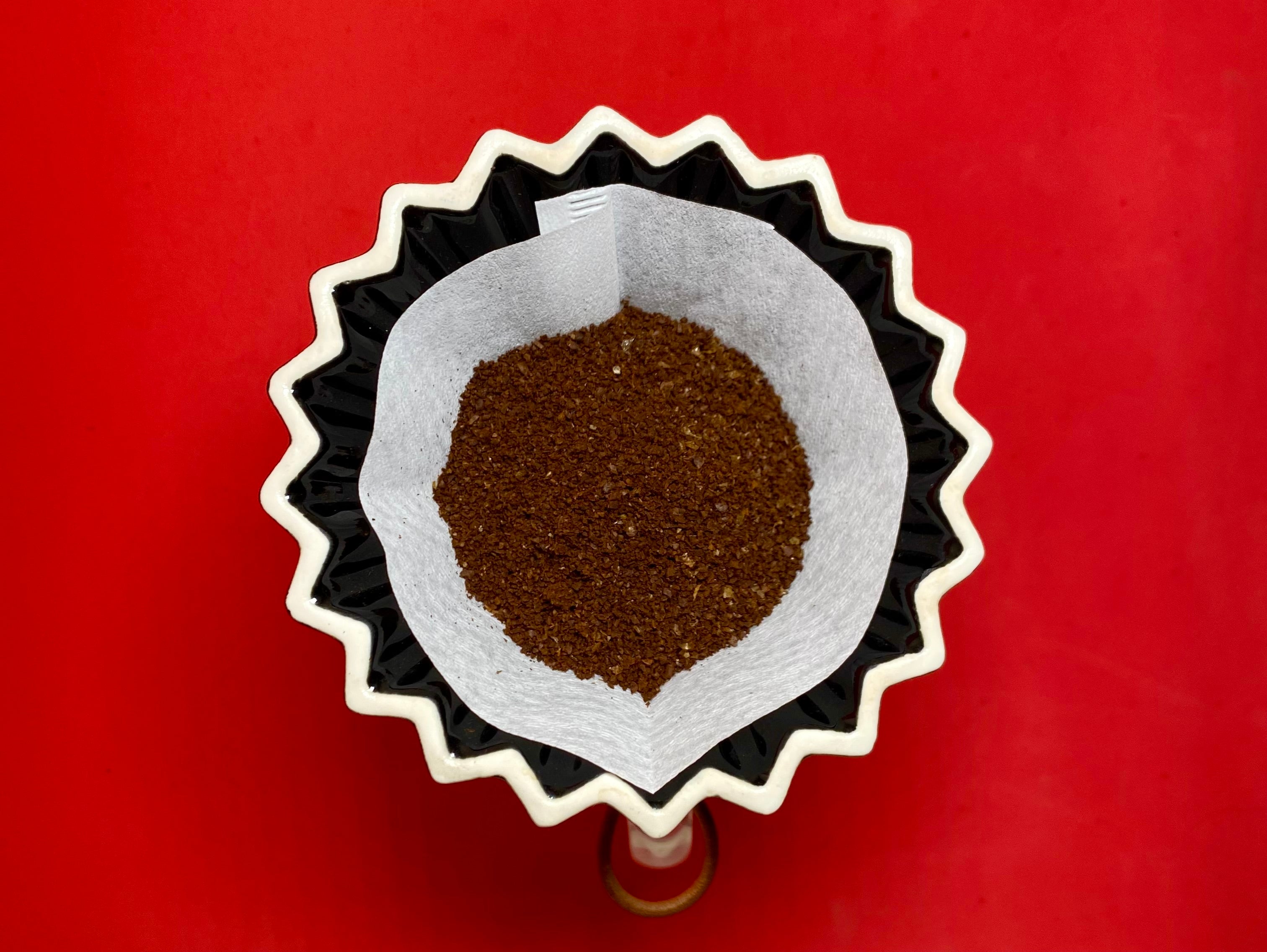 Café de Especialidad Pluma Hidalgo Tostado