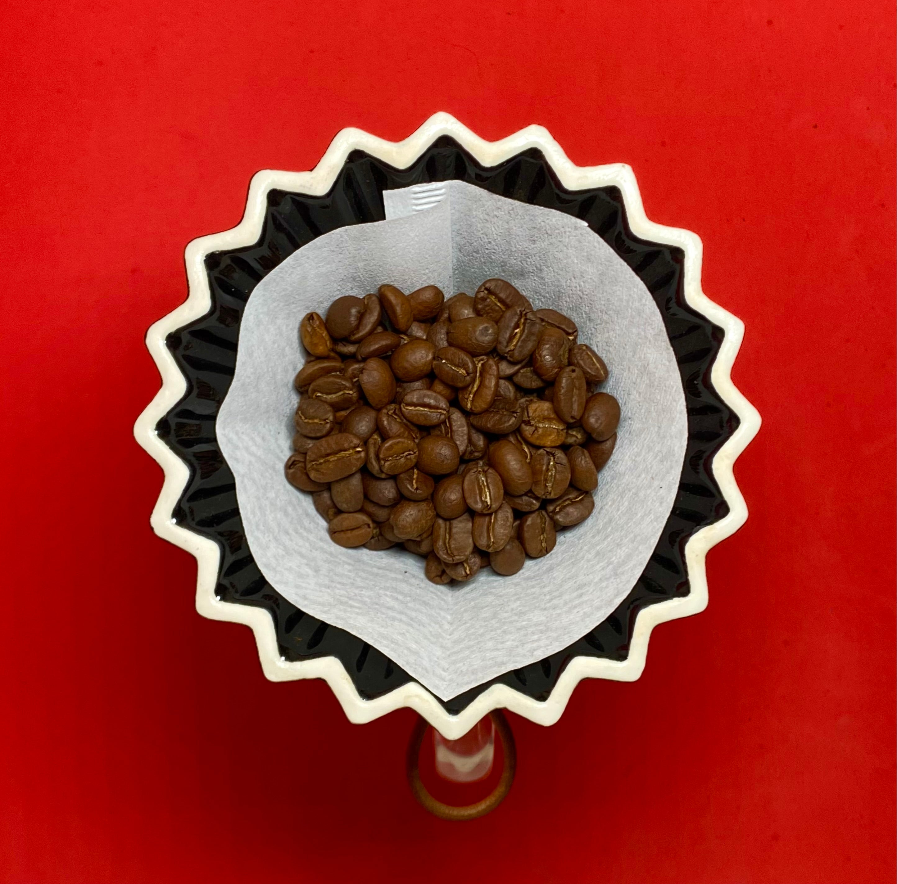 Café de Especialidad Chiapas Tostado