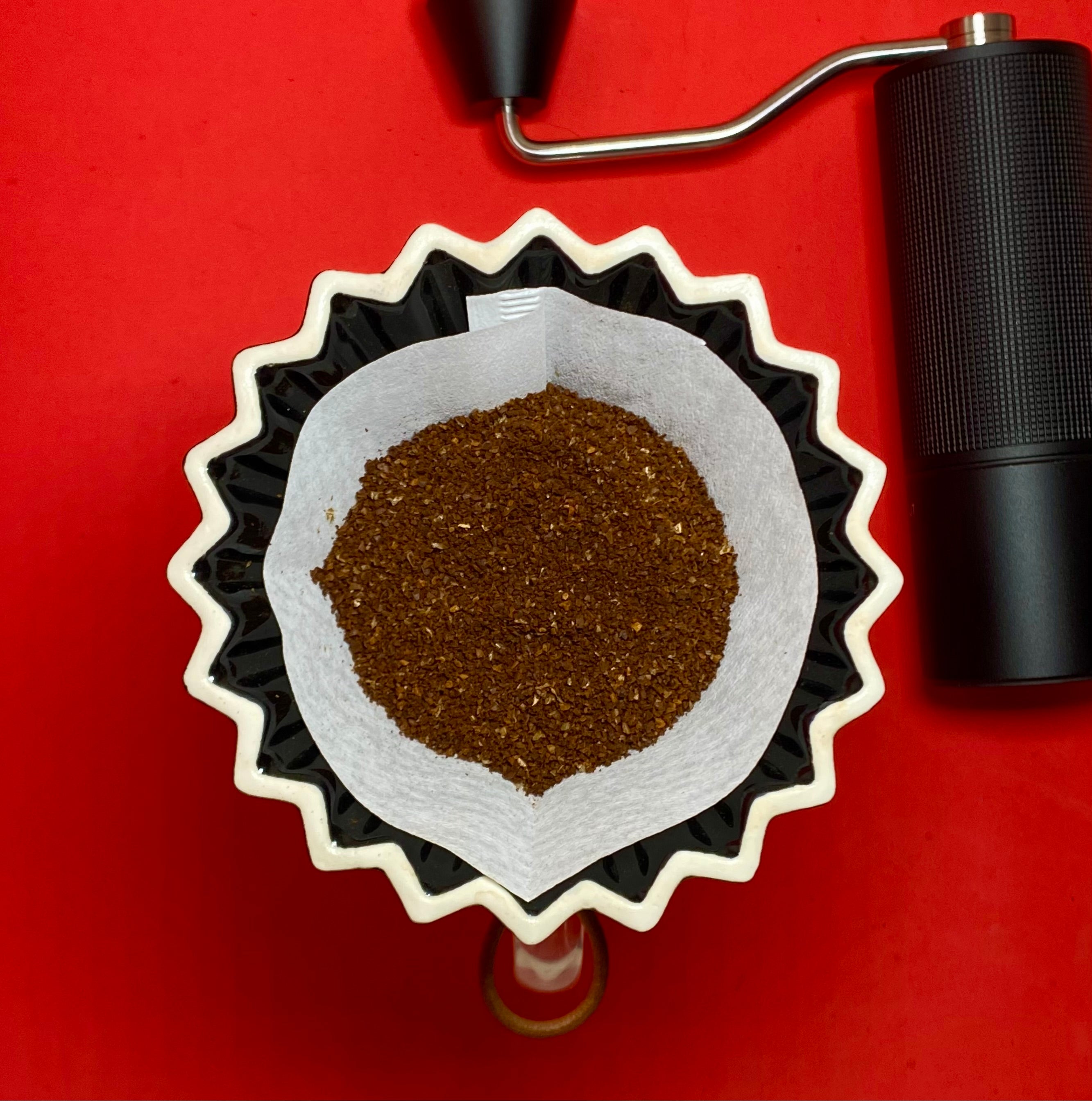 Café de Especialidad Chiapas Tostado
