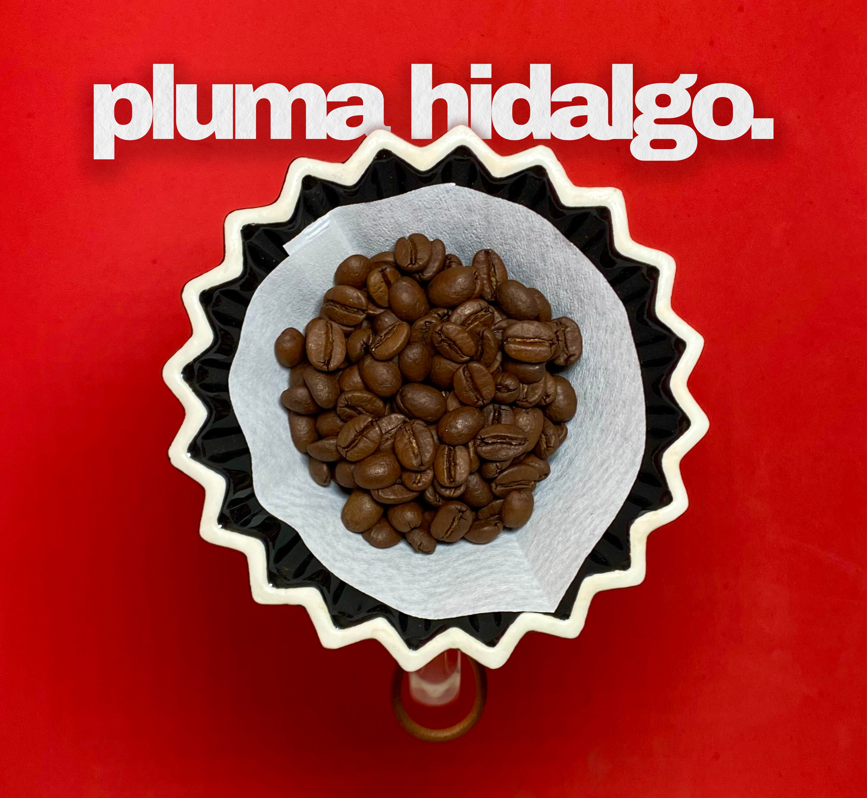 Café de Especialidad Pluma Hidalgo Tostado